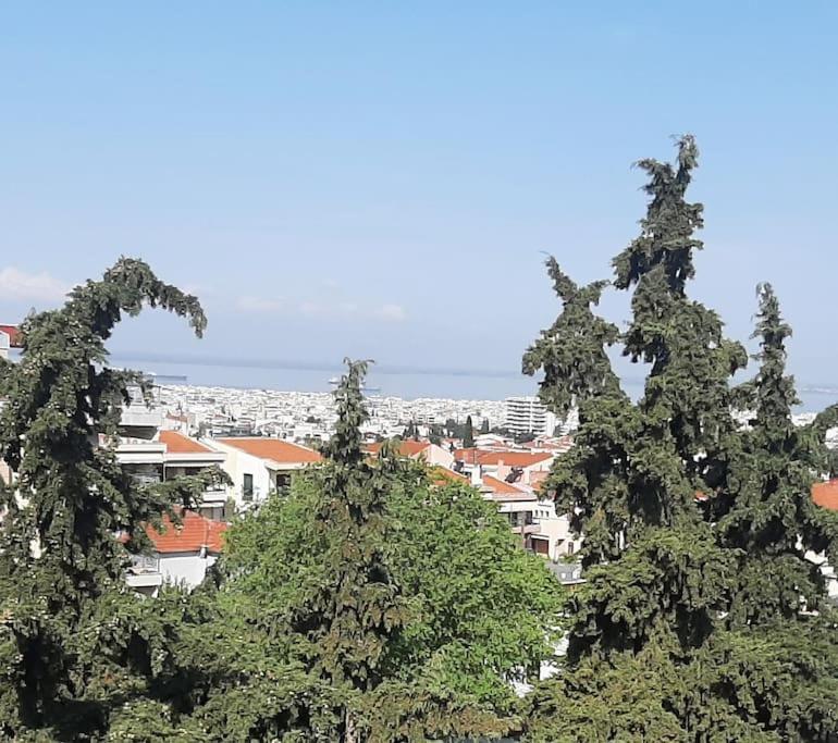 Όμορφο Διαμέρισμα- Σοφίτα Με Υπέροχη Θεα Thessaloníki Eksteriør billede